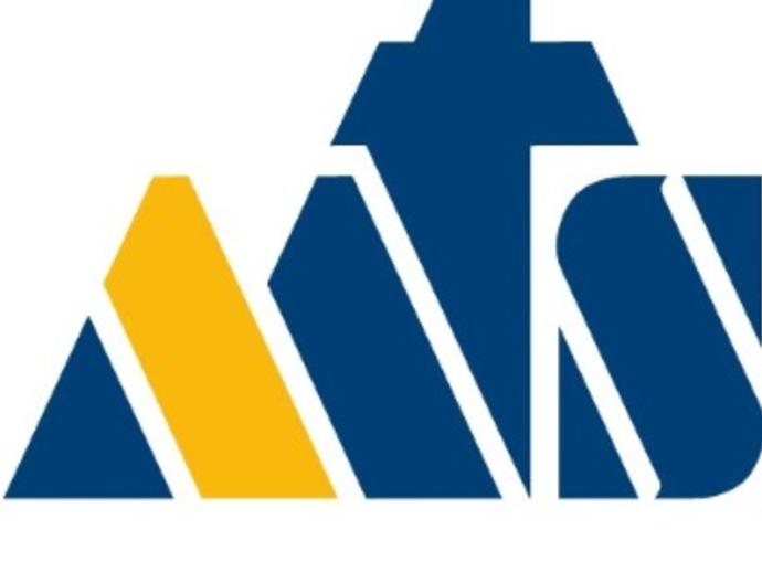 altes MTS Logo