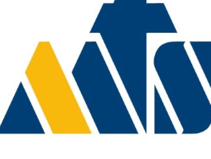 altes MTS Logo